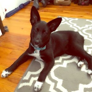 Meet your Posher, Samsung